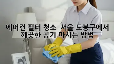 에어컨 필터 청소 : 서울 도봉구에서 깨끗한 공기 마시는 방법